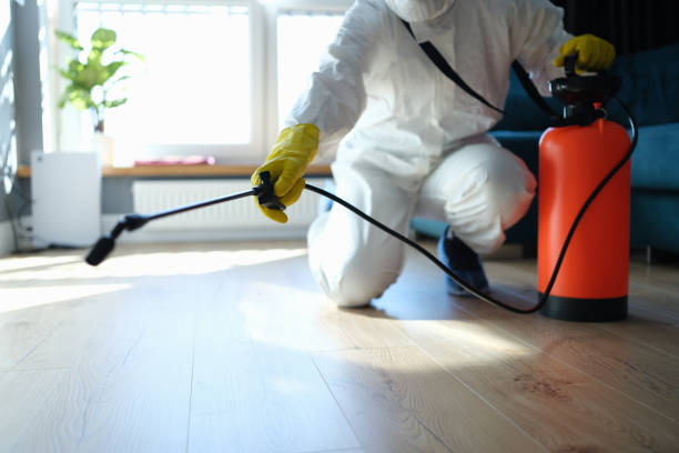 Reliable Infectious Disease Decontamination contractor in Empire, CO by Trauma Clean Pros